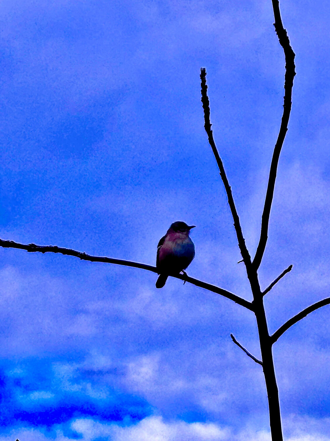 Cover Art for Fables