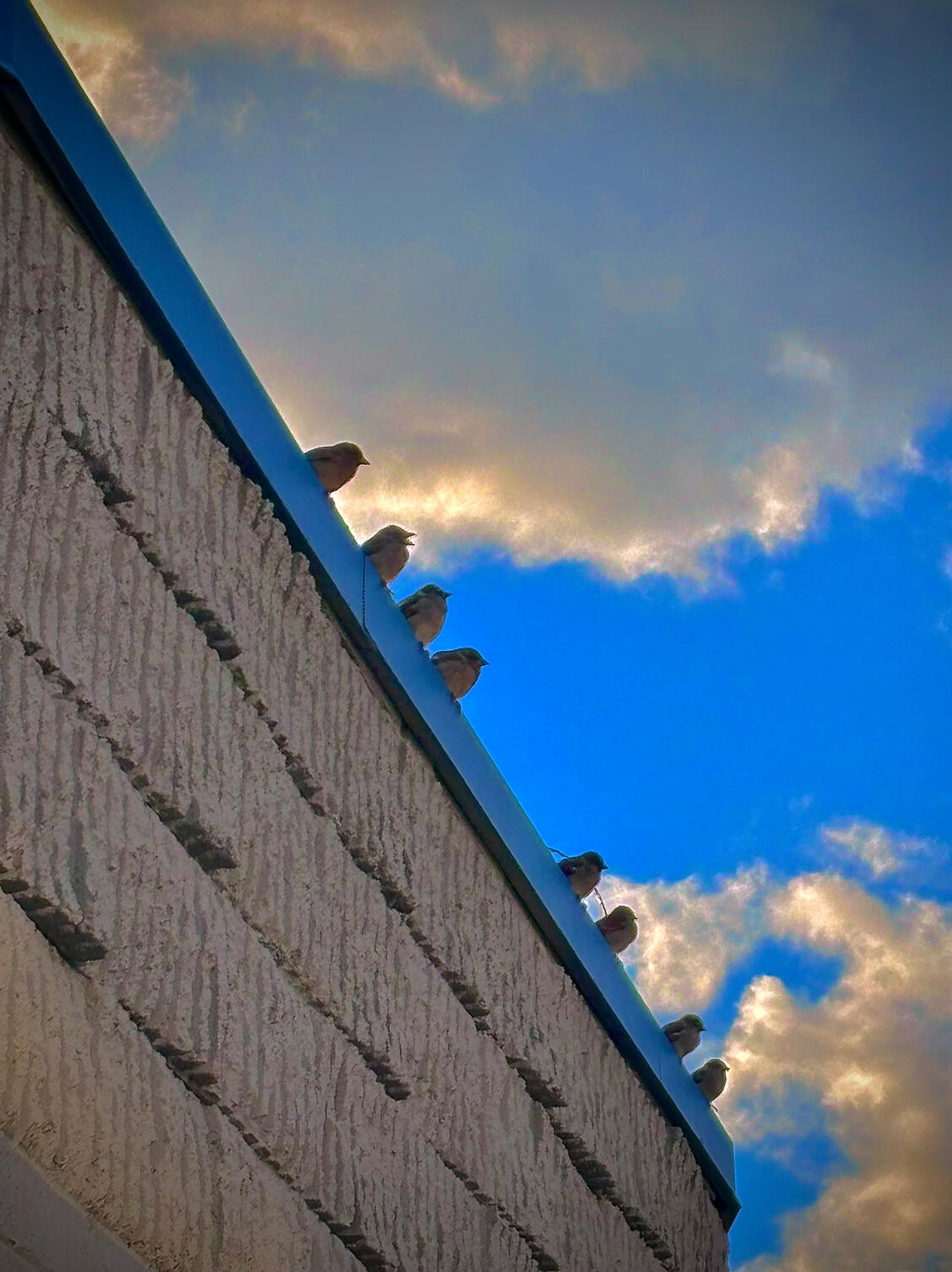 Do you think they’re talking about us?