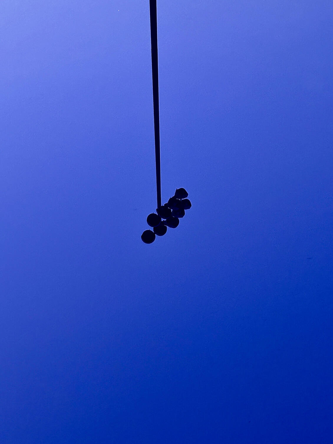 Need help getting up?