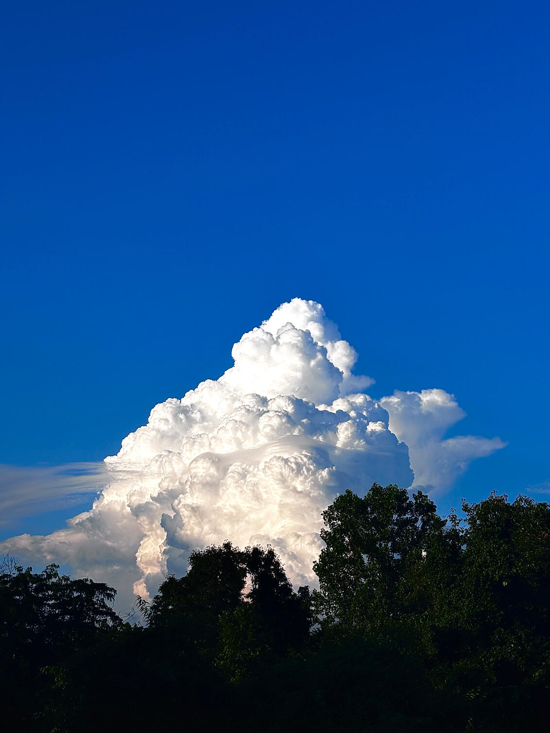 Apocalypse Cloud