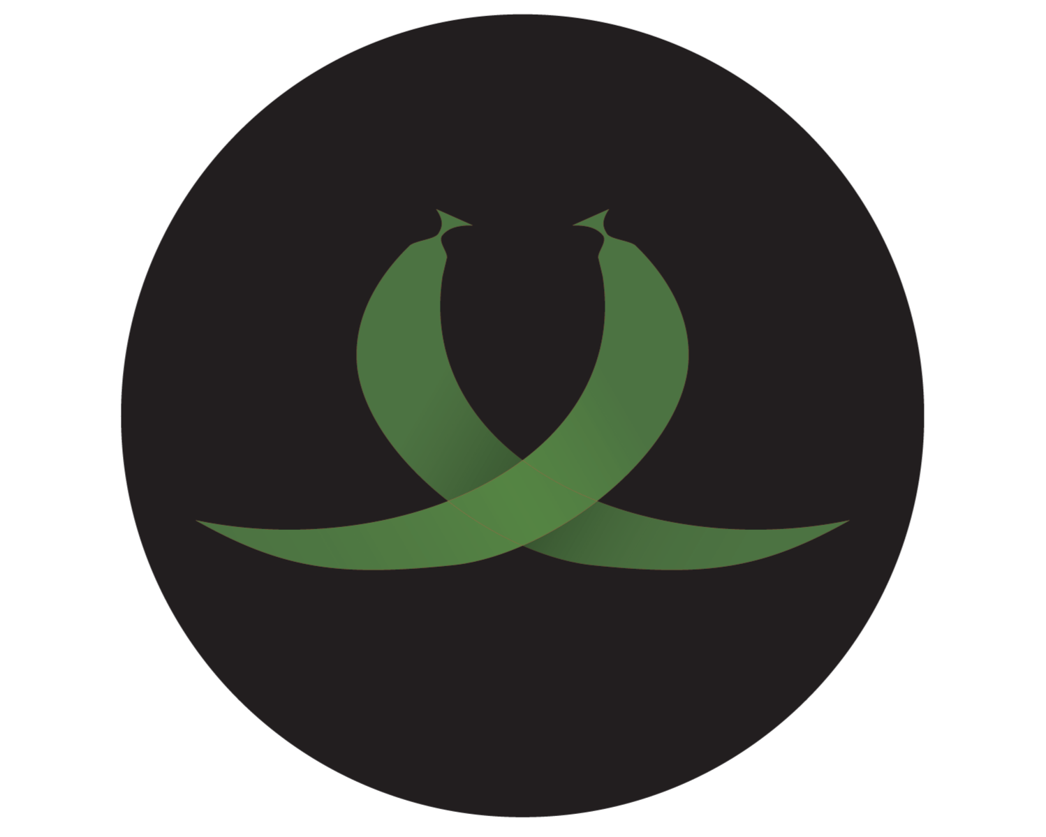 Dancing Salsa Package Design