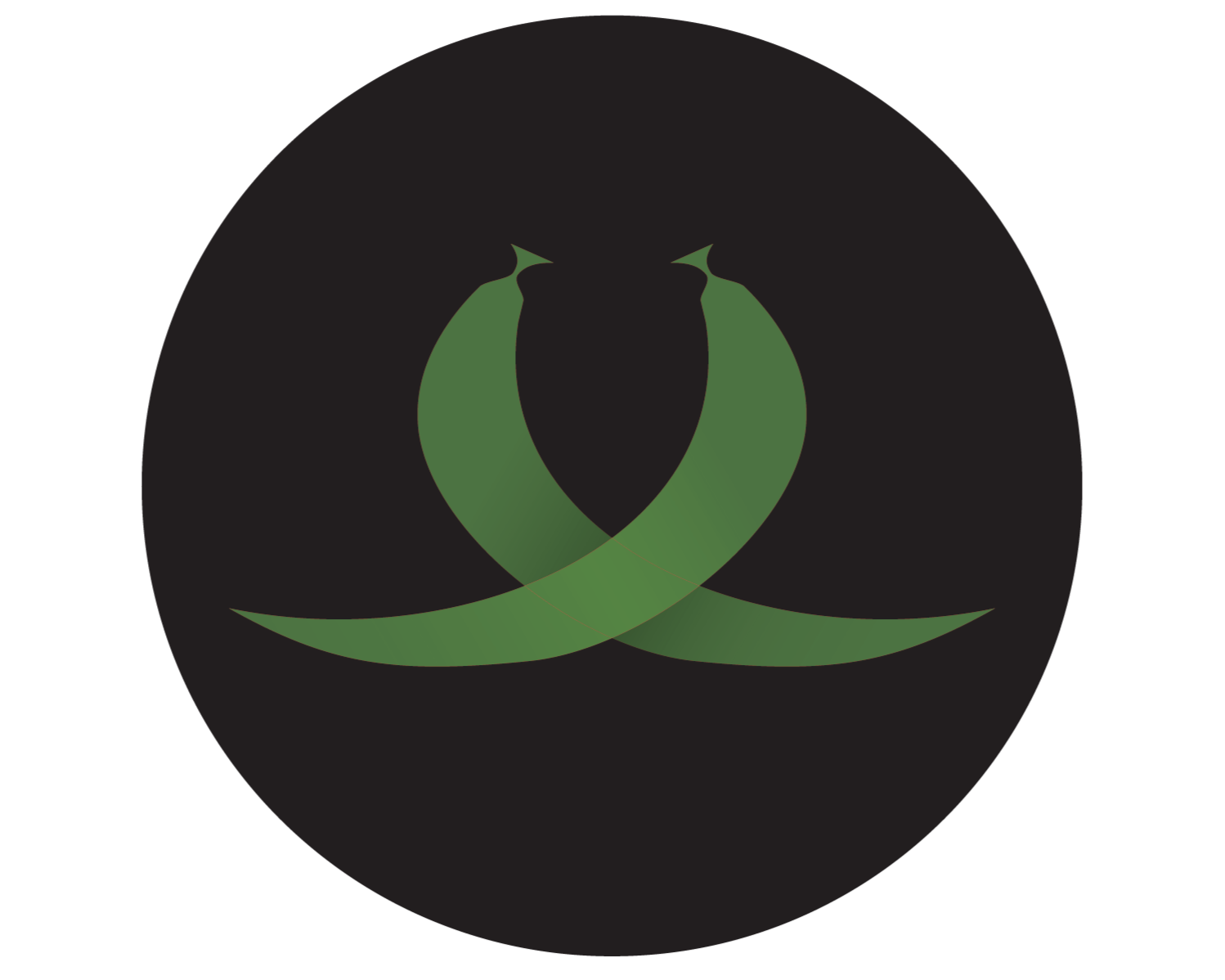 Dancing Salsa Lid Design