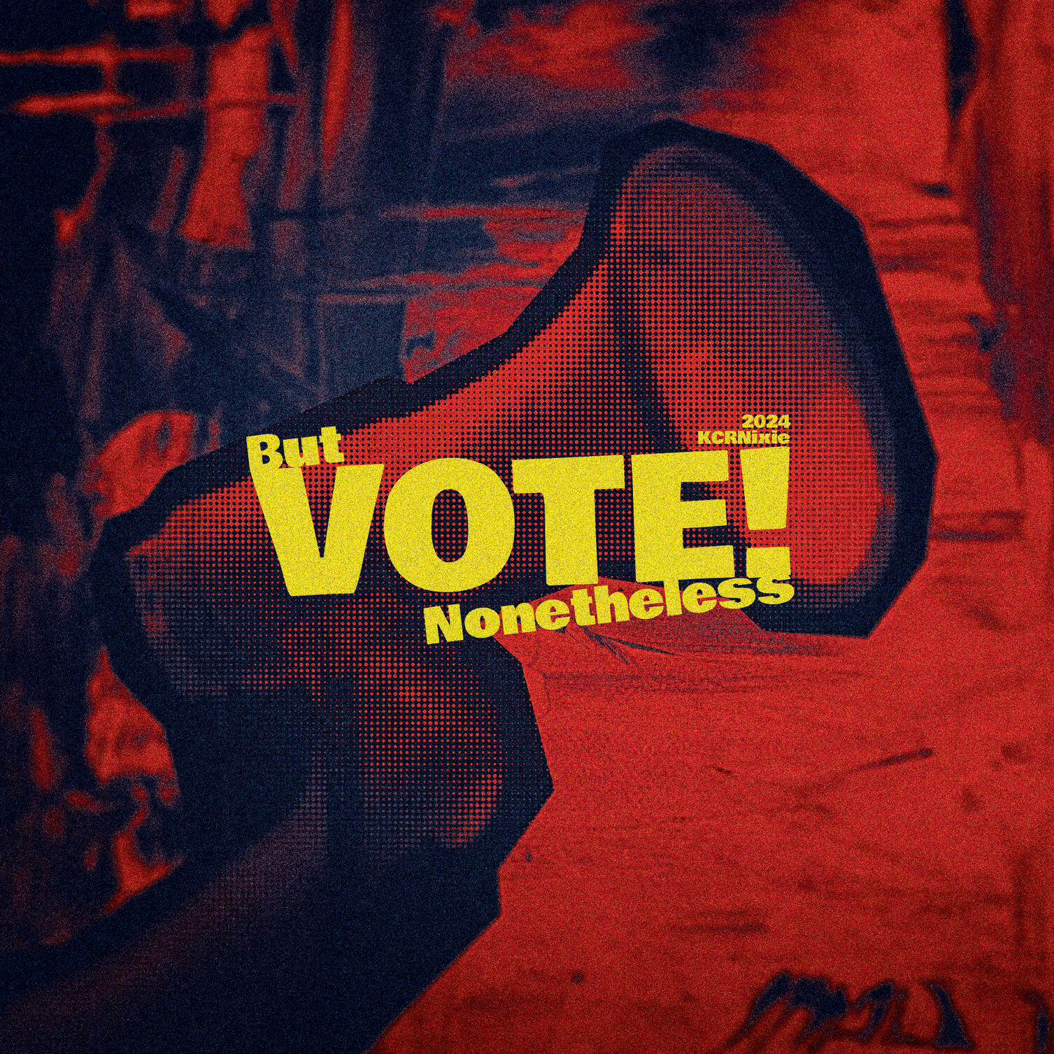 But VOTE Nonetheless!